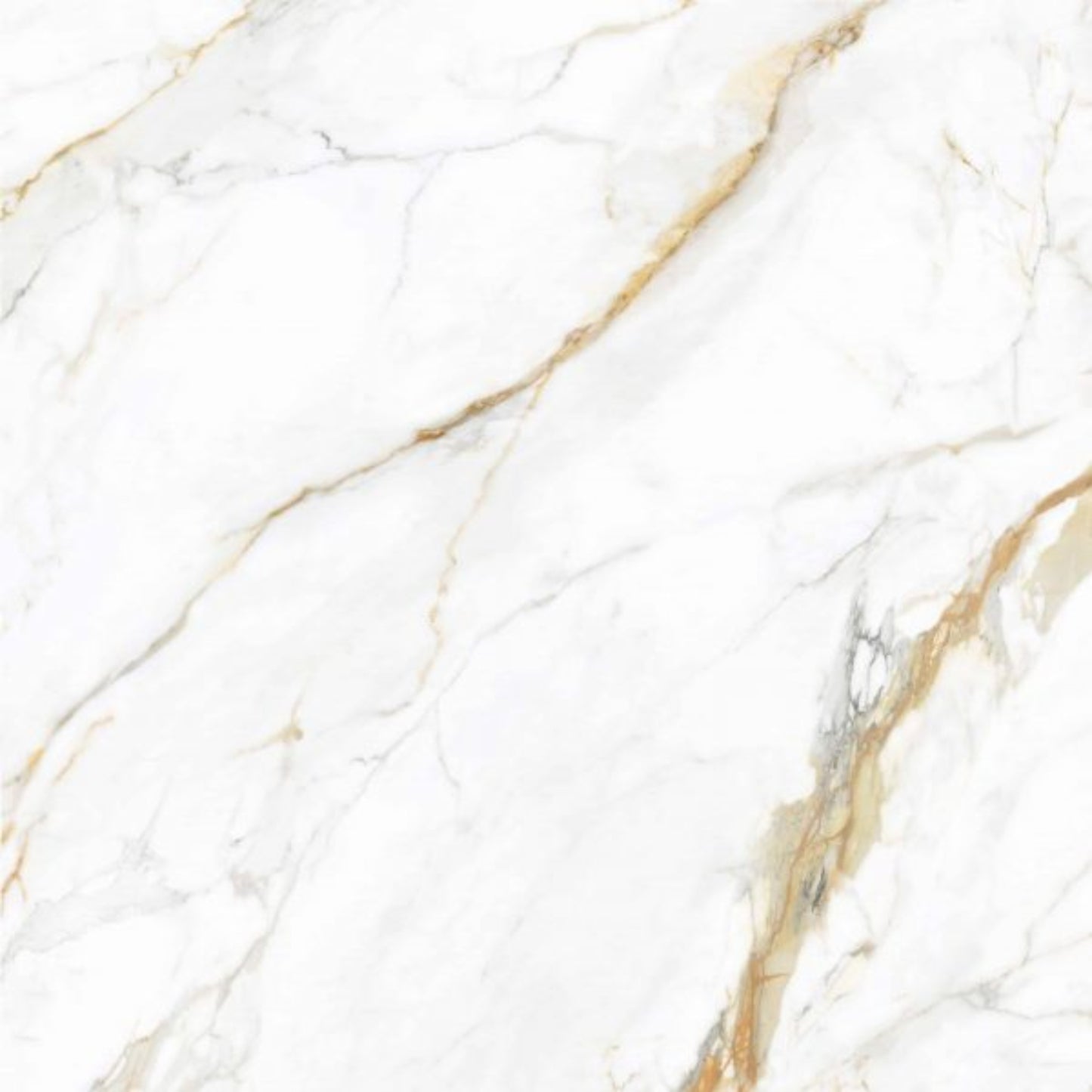 BIANCO GOLD POLISHED INTERNAL TILES 600×600