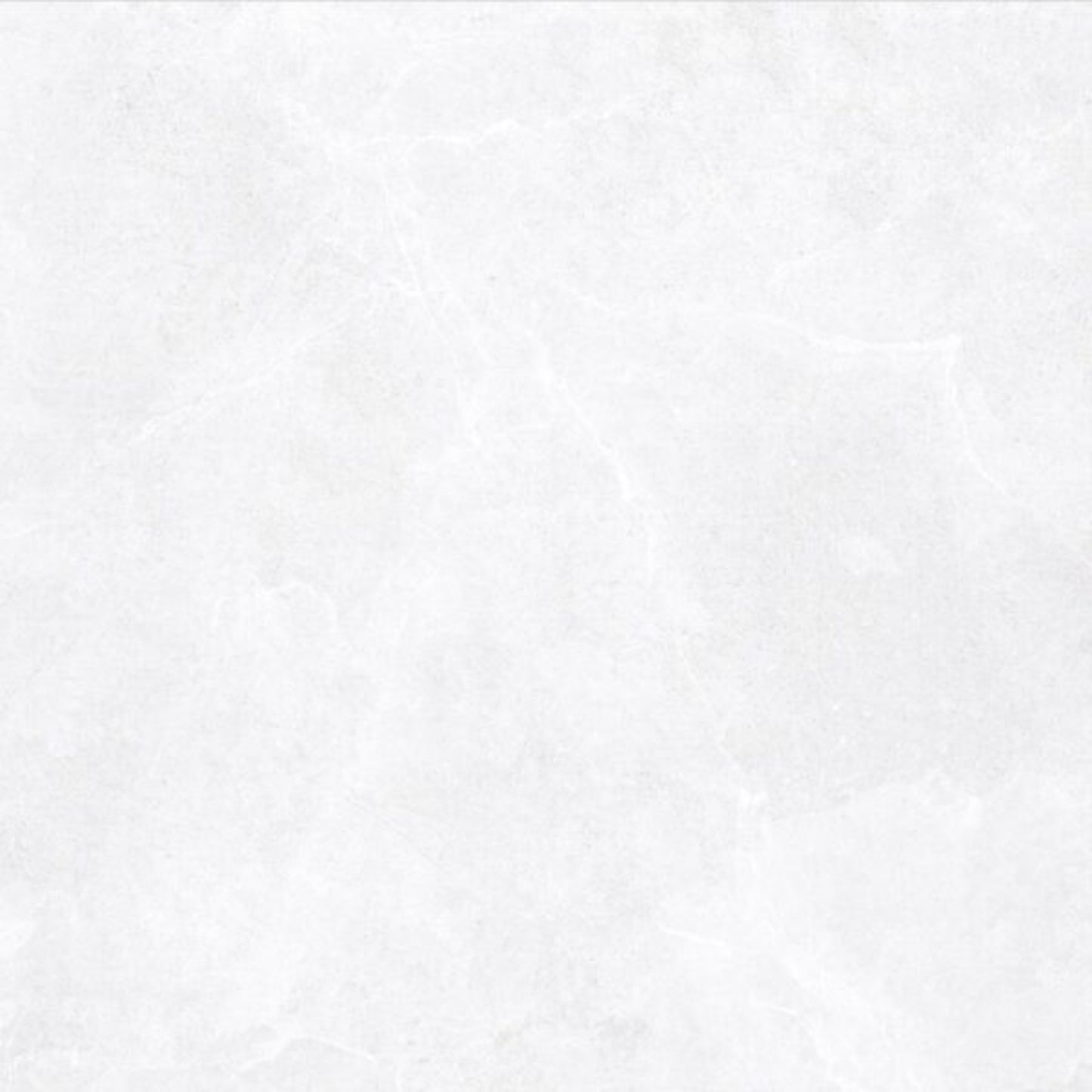SPLENDOUR WHITE HONED TILES 600×600