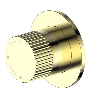 CODE NATURE LINEARE SHOWER DIVERTER BRUSHED BRASS