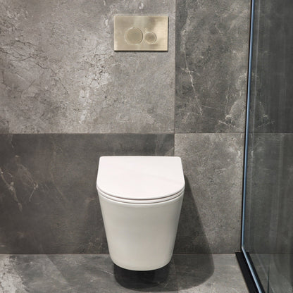 WALL HUNG TOILET SUITE WHITE