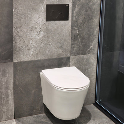 WALL HUNG TOILET SUITE GUNMETAL