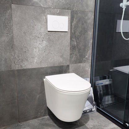 WALL HUNG TOILET SUITE MATTE WHITE