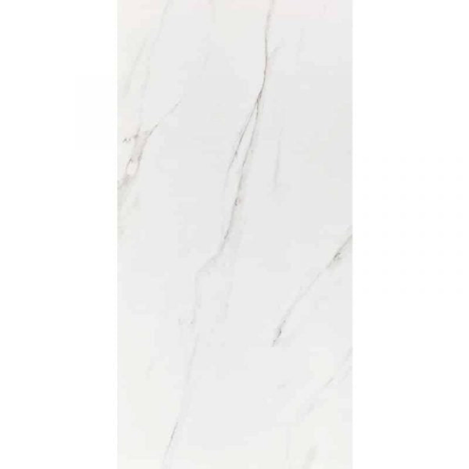 GALAXY SNOW INTERNAL MATTE TILES 600×1200