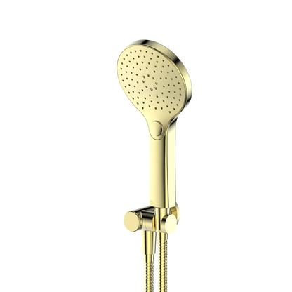 GREENS ASHMORE HAND SHOWER w/WALL OUTLET BRACKET BRUSHED BRASS